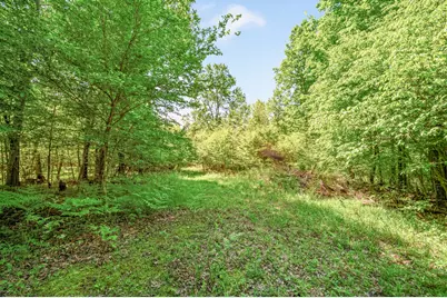 V/L 220th Avenue, Big Rapids, MI 49307 - Photo 9