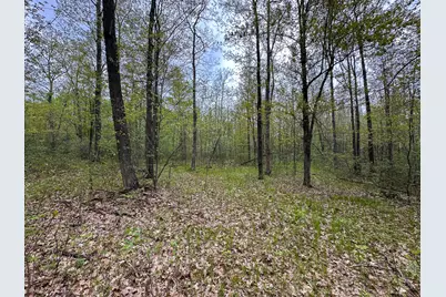 2081 Deer Lake Road, Harrison, MI 48625 - Photo 31
