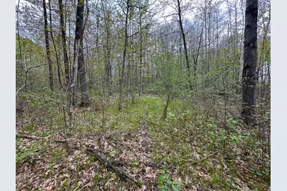 2081 Deer Lake Road, Harrison, MI 48625 - Photo 33