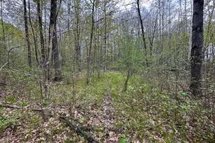 2081 Deer Lake Rd, Harrison, MI 48625 - Photo 33