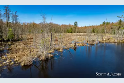 1125 Chaput Drive, Sears, MI 49679 - Photo 61