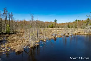 1125 Chaput Dr, Sears, MI 49679 - Photo 61