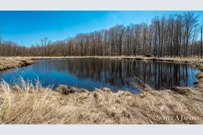 1125 Chaput Drive, Sears, MI 49679 - Photo 65