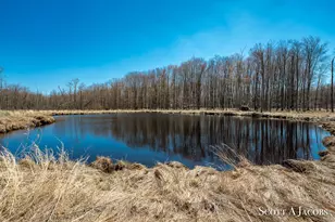 1125 Chaput Dr, Sears, MI 49679 - Photo 65