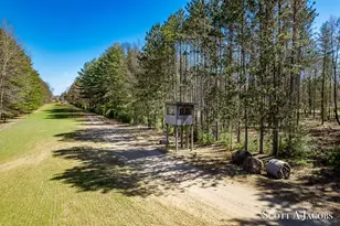 1125 Chaput Dr, Sears, MI 49679 - Photo 35