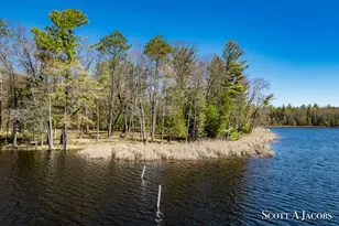 1125 Chaput Dr, Sears, MI 49679 - Photo 51