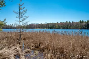 1125 Chaput Dr, Sears, MI 49679 - Photo 55