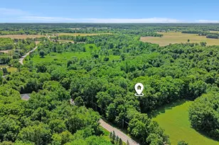16379 M-36, Stockbridge, MI 49285 - Photo 35