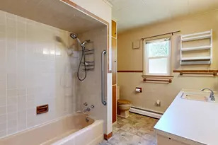 115 E Emerson St, Ithaca, MI 48847 - Photo 47