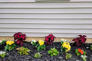 66 Oakwood Dr, Coldwater, MI 49036 - Photo 29