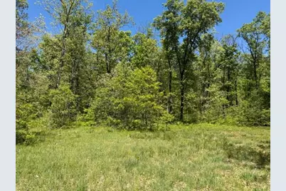 Parcel B W Usfs 5196, Baldwin, MI 49304 - Photo 1