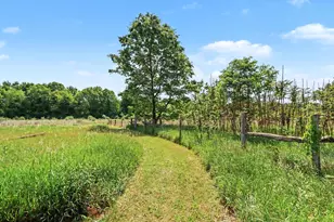 17650 Heimbach Rd, Three Rivers, MI 49093 - Photo 15