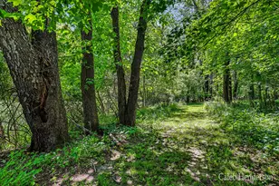 4444 2nd St, Caledonia, MI 49316 - Photo 37
