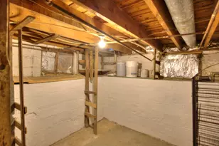 307 Douglas St, Jackson, MI 49203 - Photo 75