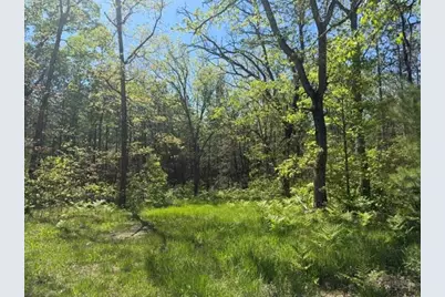 Parcel C Usfs 5196, Baldwin, MI 49304 - Photo 1