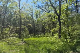 Parcel C Usfs 5196, Baldwin, MI 49304 - Photo 1