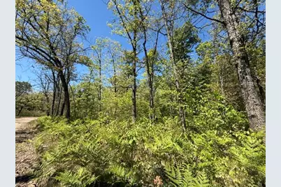 Parcel C Usfs 5196, Baldwin, MI 49304 - Photo 3