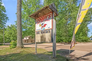 8773 N Golden Rod Blvd, Bitely, MI 49309 - Photo 1
