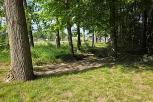 1015 Pequena Dr, Lake Isabella, MI 48893 - Photo 37