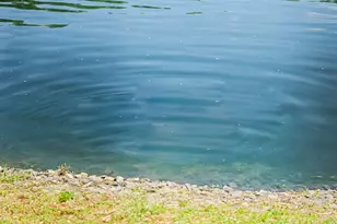 7969 Webster Church Rd, Whitmore Lake, MI 48189 - Photo 93