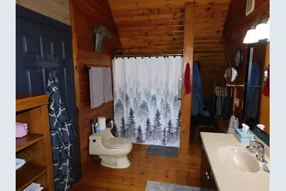 10653 Milarch Road, Bear Lake, MI 49614 - Photo 61