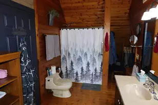 10653 Milarch Rd, Bear Lake, MI 49614 - Photo 61