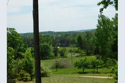 10653 Milarch Road, Bear Lake, MI 49614 - Photo 11