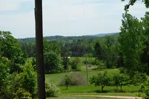 10653 Milarch Rd, Bear Lake, MI 49614 - Photo 11
