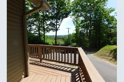 10653 Milarch Road, Bear Lake, MI 49614 - Photo 19