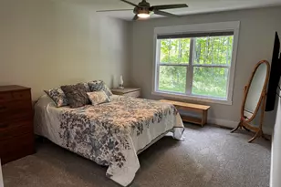 116 Creek Dr, Hart, MI 49420 - Photo 27