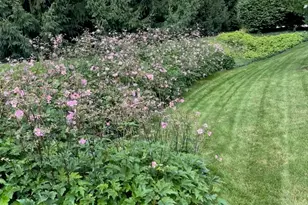 1964 Oakview Dr, Ann Arbor, MI 48108 - Photo 39