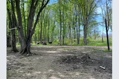 V/L 146th Avenue SW, Byron Center, MI 49315 - Photo 3