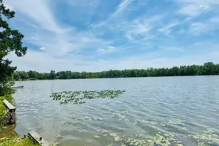 1846 W Tupper Heights Dr, Lake Odessa, MI 48849 - Photo 5