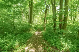 56200 California Rd, Dowagiac, MI 49047 - Photo 47