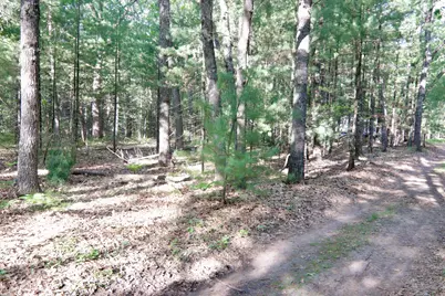 V/L W Cypress Avenue, Baldwin, MI 49304 - Photo 3