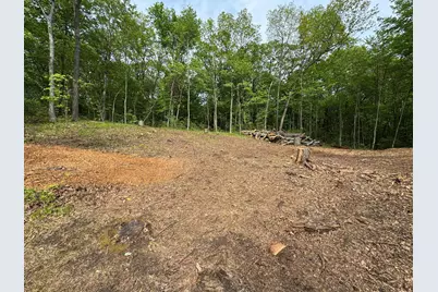0 Weiman Drive, Pinckney, MI 48169 - Photo 5