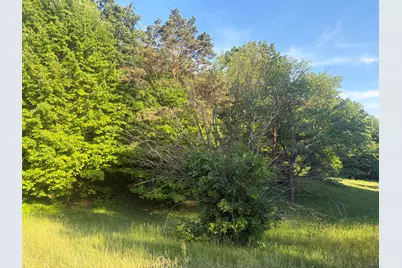 Pifer Road, Delton, MI 49046 - Photo 7