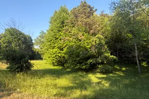 Pifer Rd, Delton, MI 49046 - Photo 1