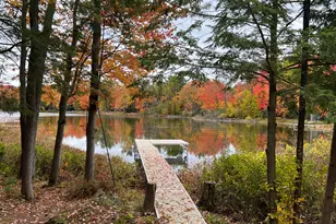 6816 Thayer Lake Dr, Alden, MI 49612 - Photo 29