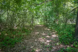 14308 Church Rd, Howard City, MI 49329 - Photo 21