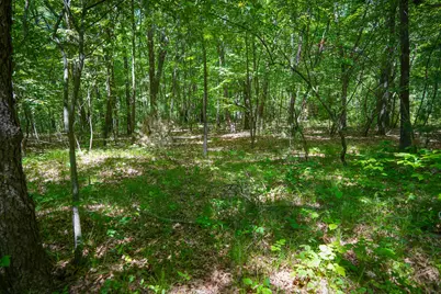 14308 Church Road, Howard City, MI 49329 - Photo 25