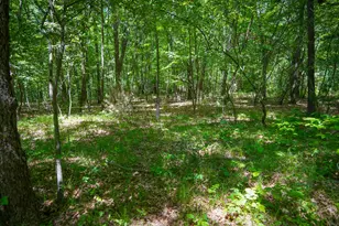 14308 Church Rd, Howard City, MI 49329 - Photo 25