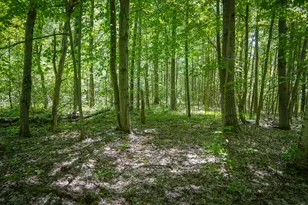 14308 Church Rd, Howard City, MI 49329 - Photo 41