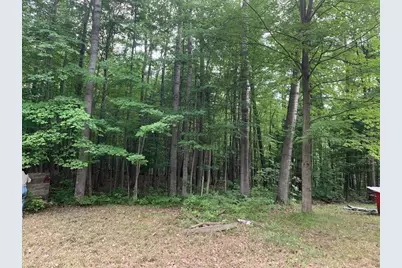 12191 Timber Trail, Rodney, MI 49342 - Photo 3
