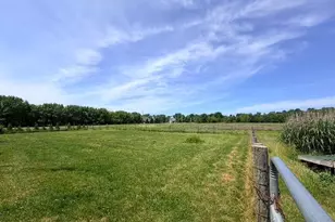 887 W Hinchman Rd, Baroda, MI 49101 - Photo 45