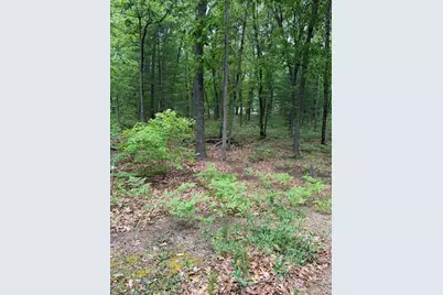 V/L E Sandra Kay Road, Fountain, MI 49410 - Photo 5
