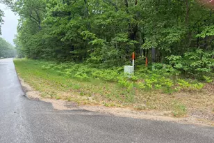 V/L E Sandra Kay Rd, Fountain, MI 49410 - Photo 1
