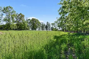 0 E Charles Rd, Ionia, MI 48846 - Photo 1
