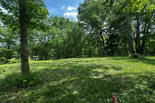 S Norris Road Rd, Delton, MI 49046 - Photo 1