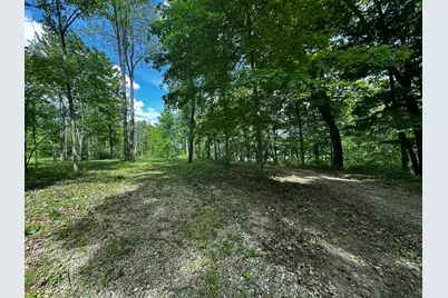 S Norris Road Road, Delton, MI 49046 - Photo 7